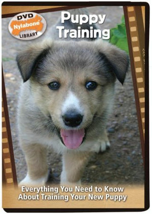 Puppy Training: Everything You Need To Know About Training Your New Puppy