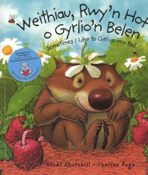 Weithiau, Rwy'n Hoff O Gyrlio'n Belen/Sometimes I Like to Curl Up in a Ball,Used