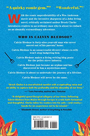 Who Are You, Calvin Bledsoe?: A Novel,Used
