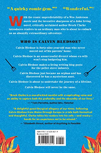 Who Are You, Calvin Bledsoe?: A Novel,Used