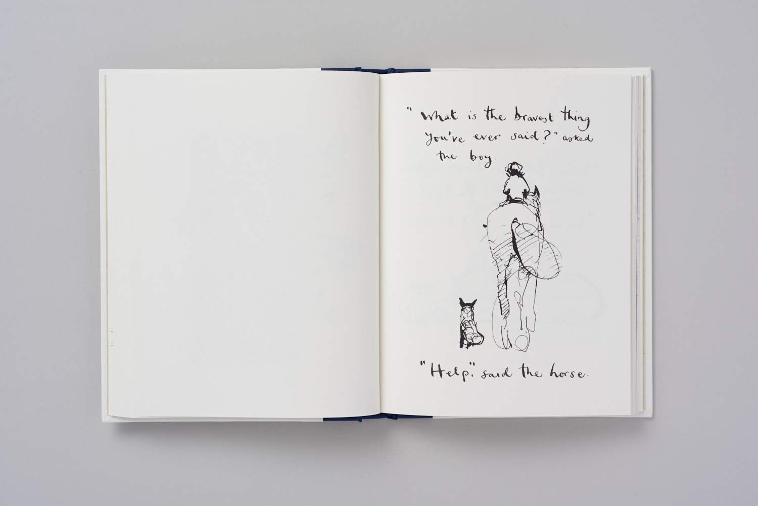 The Boy, The Mole, The Fox and The Horse /anglais,New