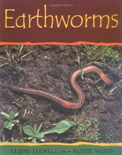 Earthworms (Minibeasts),Used