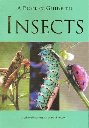 A Pocket Guide to Insects (Pocket Guides),Used