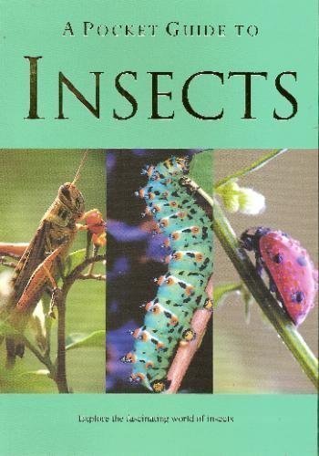 A Pocket Guide to Insects (Pocket Guides),Used