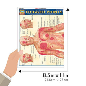 Trigger Points QuickStudy Laminated Reference Guide (QuickStudy Academic),New