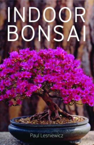 Indoor Bonsai,New