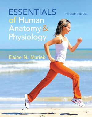 Essentials Of Human Anatomy & Physiology (11Th Edition)