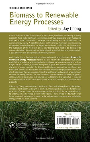 Biomass To Renewable Energy Processes