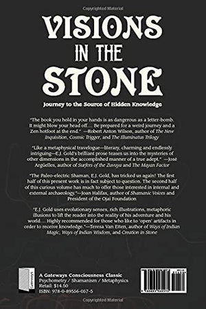 Visions in the Stone: Journey to the Source of Hidden Knowledge,Used
