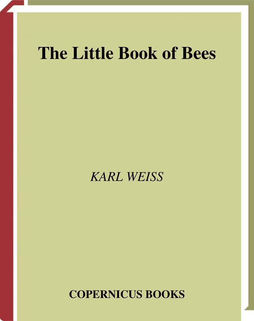 The Little Book Of Bees