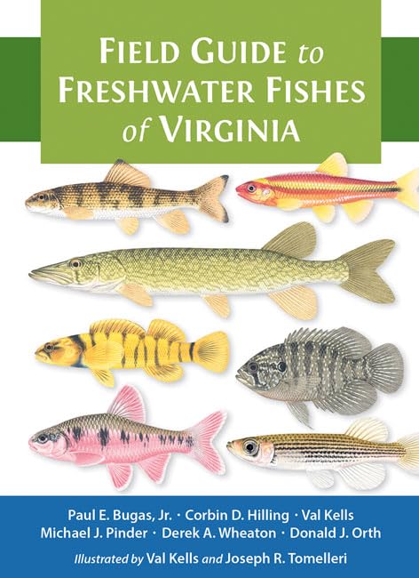 Field Guide To Freshwater Fishes Of Virginia