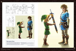 The Legend of Zelda: Breath of the WildCreating a Champion,Used
