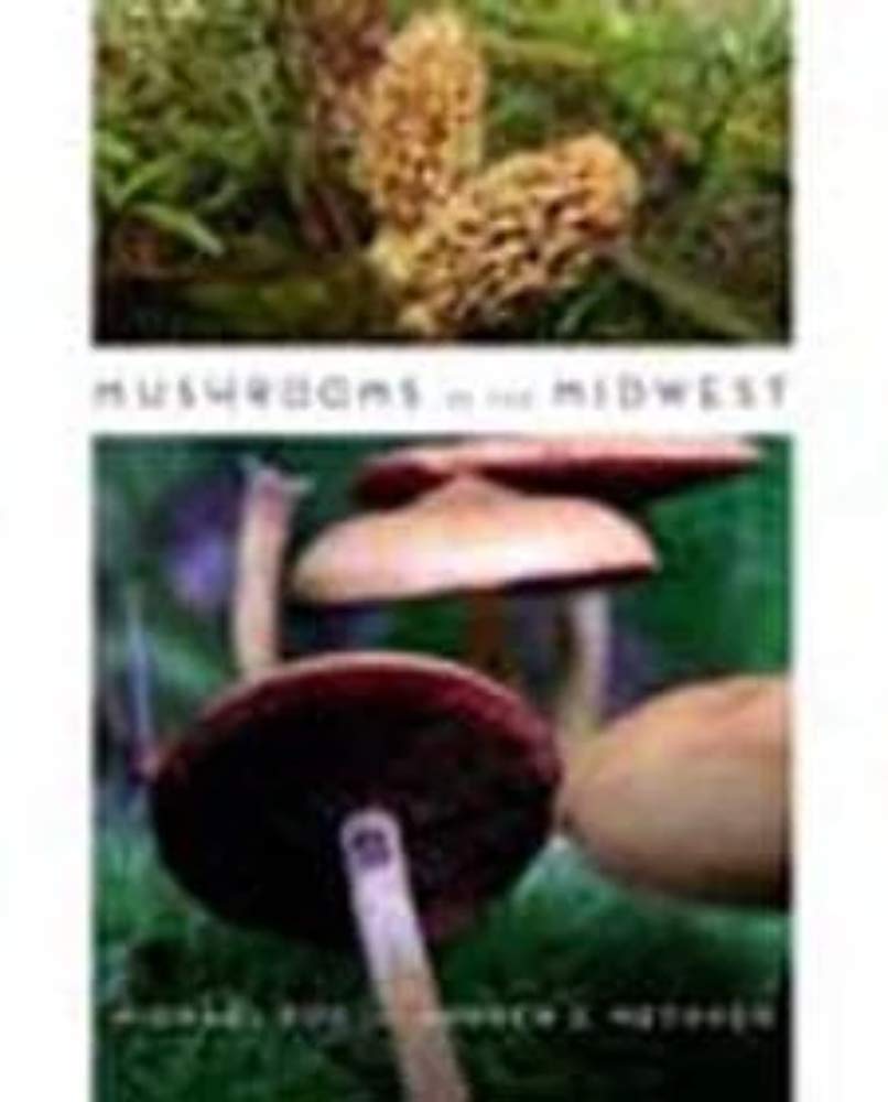 Mushrooms Of The Midwest,New