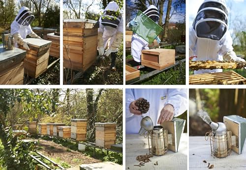 The Bee Book: Discover the Wonder of Bees and How to Protect Them for Generations to Come,Used