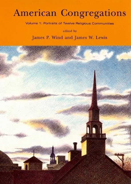 American Congregations, Volume 1: Portraits of Twelve Religious Communities,Used