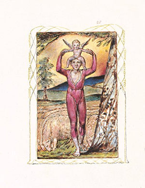 Blake's Songs of Innocence and Experience (Cover may vary),New