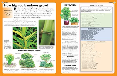 The Bamboo, Grass & Palm Specialist: The Essential Guide to Selecting, Growing and Propagating Bamboos, Grasses and Palms (Speci,Used