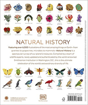 Natural History (Dk Definitive Visual Encyclopedias),New