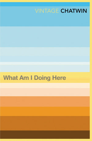 What Am I Doing Here?,Used