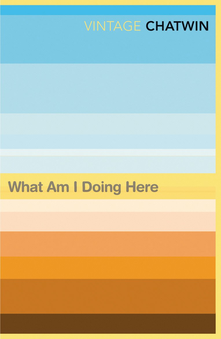 What Am I Doing Here?,Used