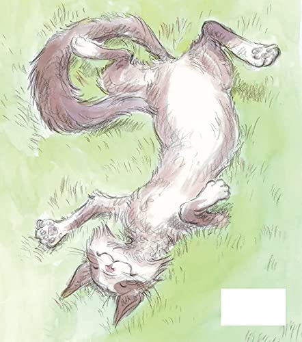Some Cat!: A Picture Book,Used