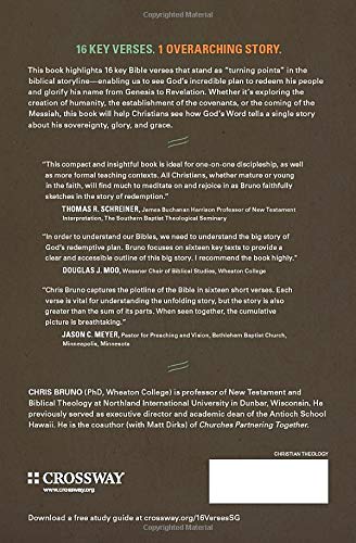The Whole Story of the Bible in 16 Verses,Used
