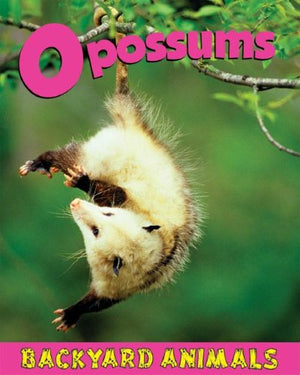 Opossums (Backyard Animals),Used
