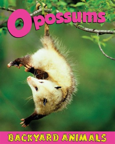 Opossums (Backyard Animals),Used