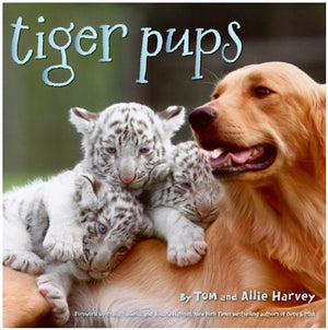 Tiger Pups,Used
