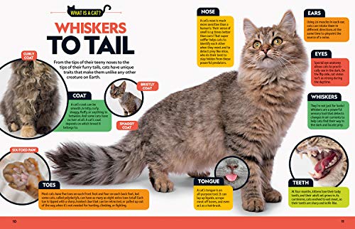 Cat Breed Guide: A complete reference to your purrfect best friend,Used
