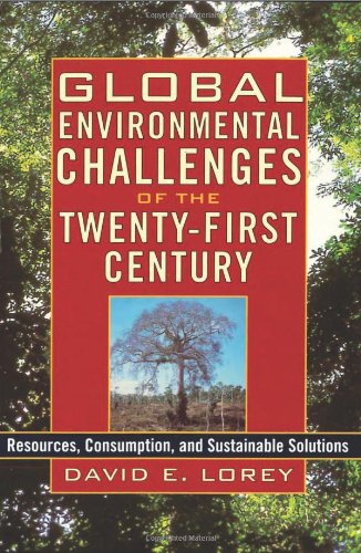 Global Environmental Challenges of the TwentyFirst Century: Resources, Consumption, and Sustainable Solutions (The World Beat S,Used