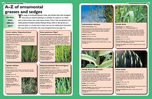 The Bamboo, Grass & Palm Specialist: The Essential Guide to Selecting, Growing and Propagating Bamboos, Grasses and Palms (Speci,Used