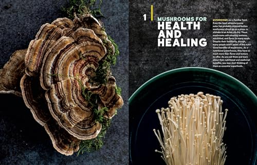 Christopher Hobbs's Medicinal Mushrooms: The Essential Guide: Boost Immunity, Improve Memory, Fight Cancer, Stop Infection, and ,Used