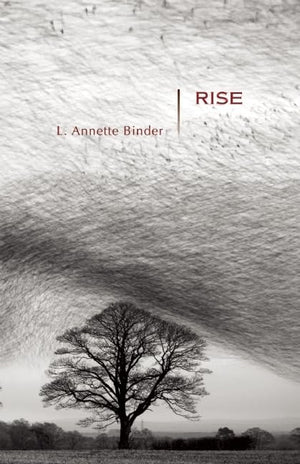 Rise: Stories (Mary McCarthy Prize in Short Fiction),Used