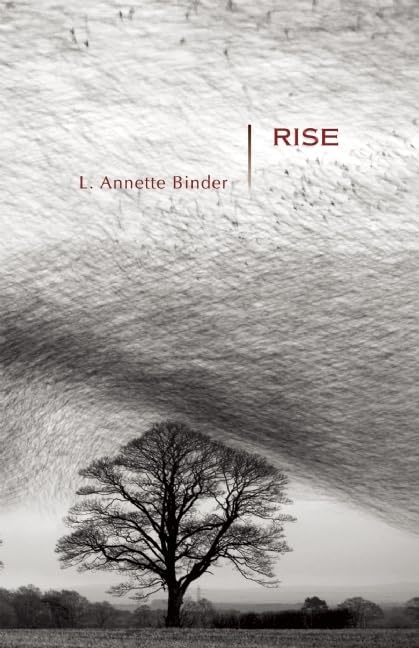 Rise: Stories (Mary McCarthy Prize in Short Fiction),Used