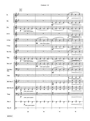 The Tempest: Conductor Score (Belwin Beginning Band),Used