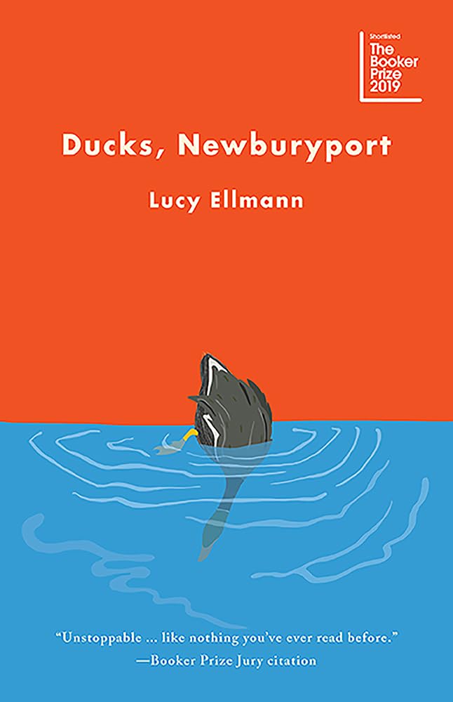 Ducks, Newburyport,New
