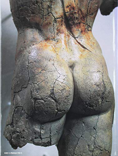 David by the Hand of Michelangelo,Used