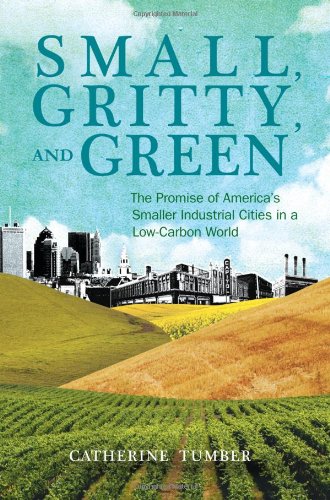 Small, Gritty, and Green: The Promise of America's Smaller Industrial Cities in a LowCarbon World (Urban and Industrial Environ,Used