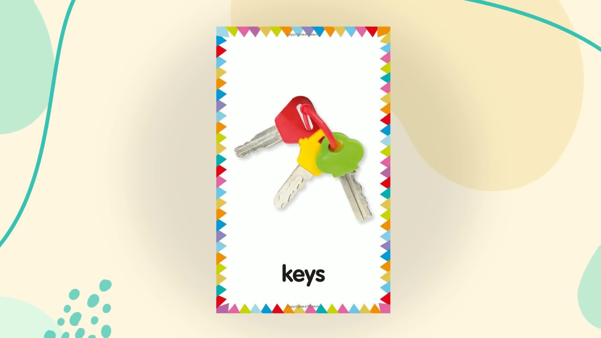 My First Touch and Feel Language Picture Cards: First Words (My First Board Books),New