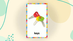 My First Touch and Feel Language Picture Cards: First Words (My First Board Books),Used