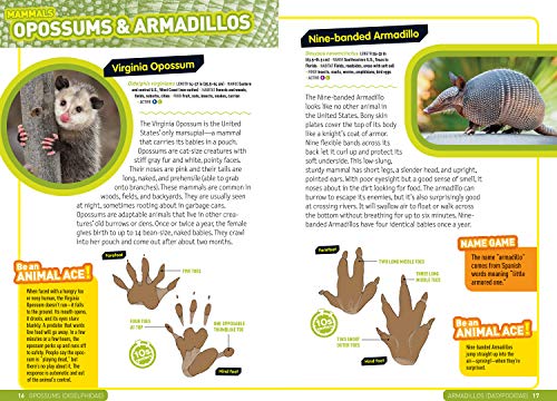 Ultimate Explorer Field Guide: Mammals,Used