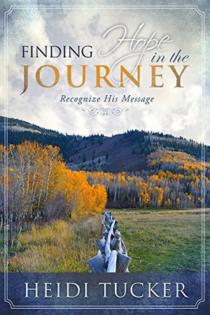 Finding Hope in the Journey,Used