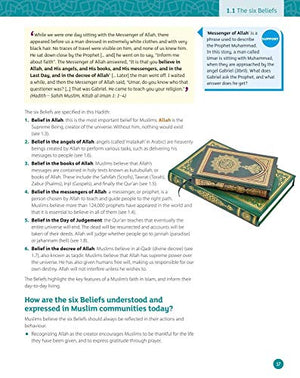 GCSE Religious Studies for Edexcel B: Religion, Peace and Conflict through Islam,Used