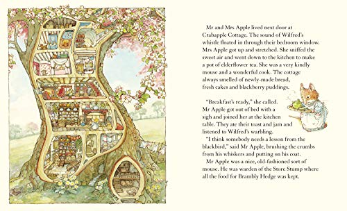 A Year in Brambly Hedge: Celebrating forty years of Brambly Hedge with this beautiful storybook gift set,Used