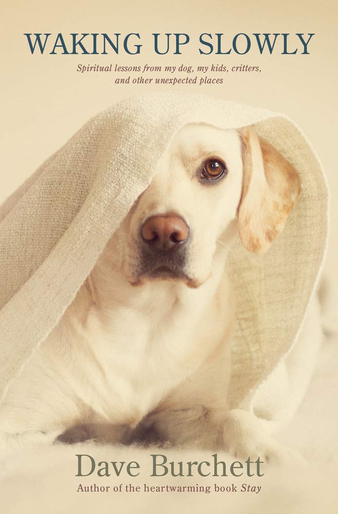 Waking Up Slowly: Spiritual Lessons From My Dog, My Kids, Critters, And Other Unexpected Places