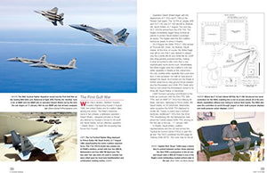 Mcdonnell Douglas/Boeing F15 Eagle Manual: 1972 Onwards (All Marks) (Haynes Owners Workshop Manual)