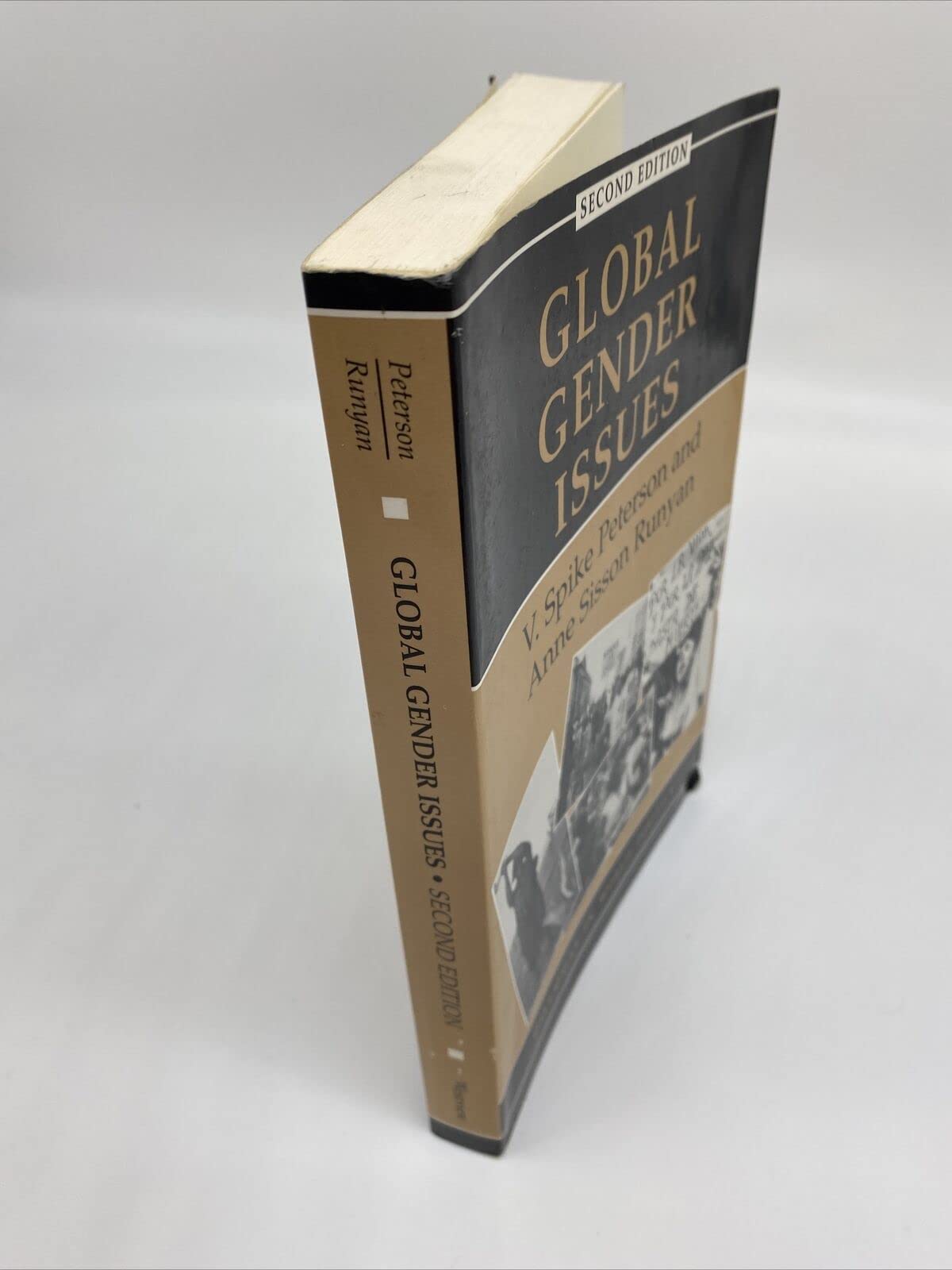 Global Gender Issues (Dilemmas in World Politics),Used
