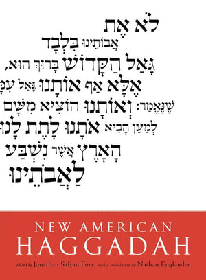 New American Haggadah,Used