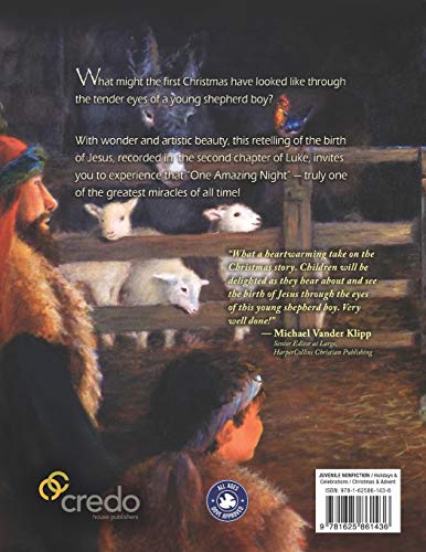 One Amazing Night: A Christmas Story,Used